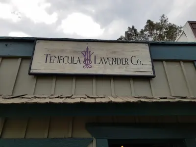 Temecula Lavender Co business photo
