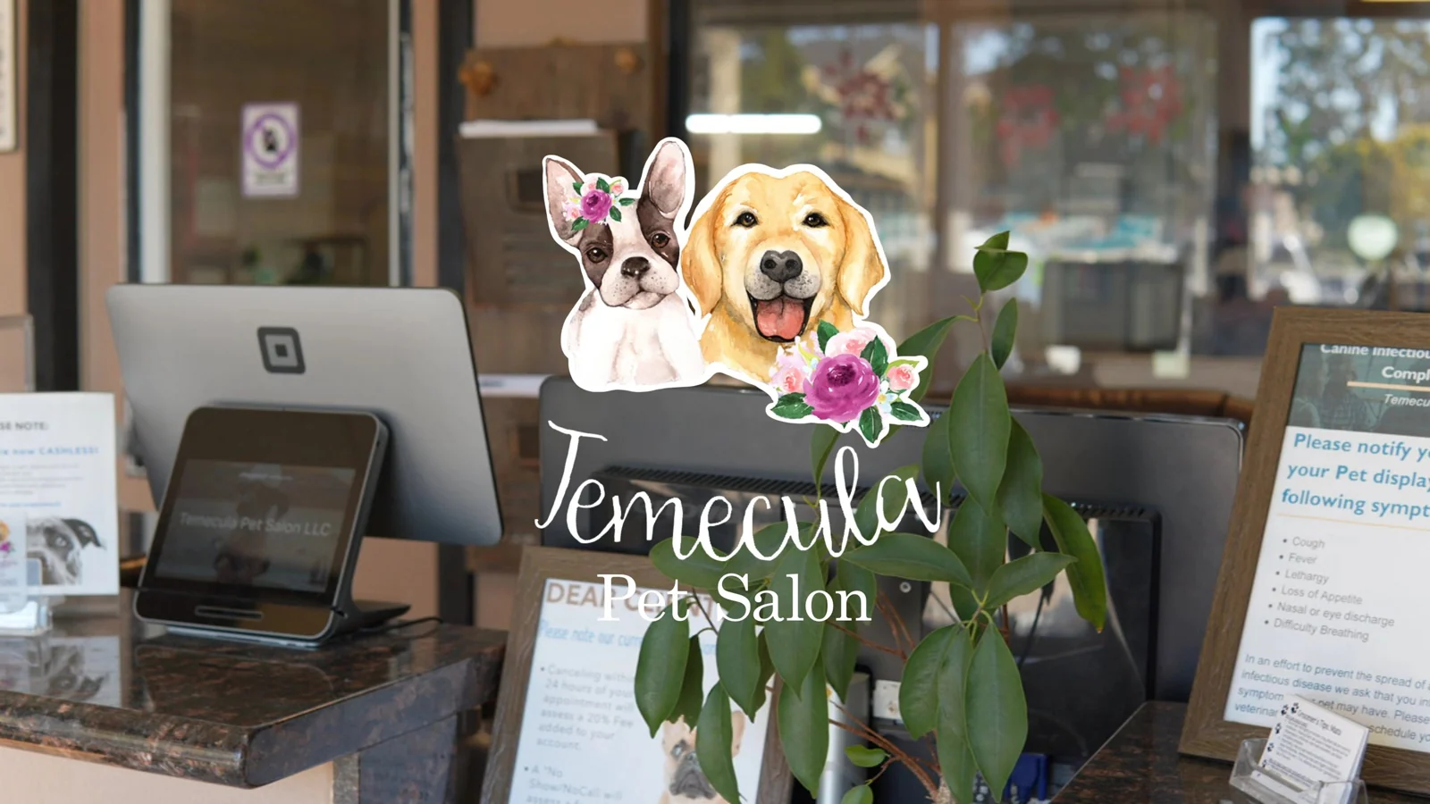 Temecula Pet Salon business photo